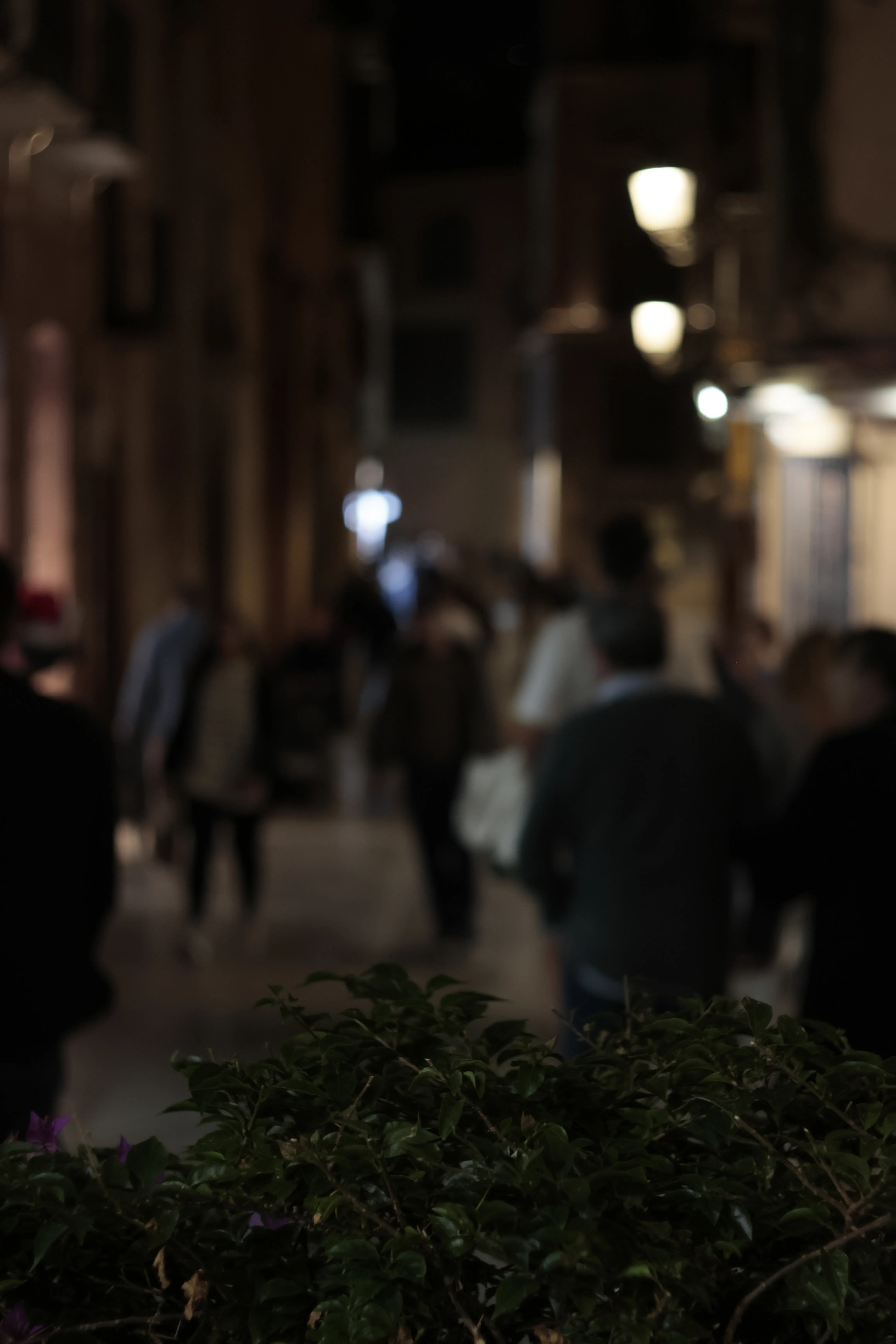 Zenith Helios-77M-4 1,850 (VOMZ) - _I4A0615.jpg